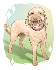 Sophiedog.jpg